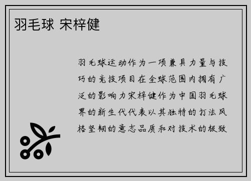 羽毛球 宋梓健